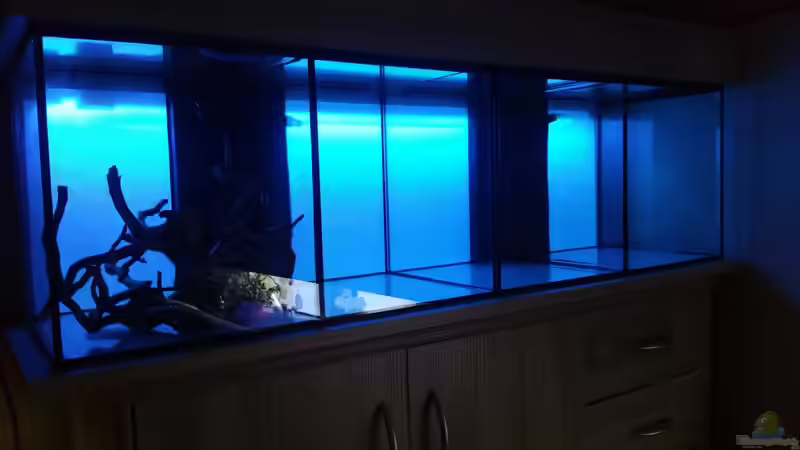 Aquarium The Diy von Lucky3310 (16)