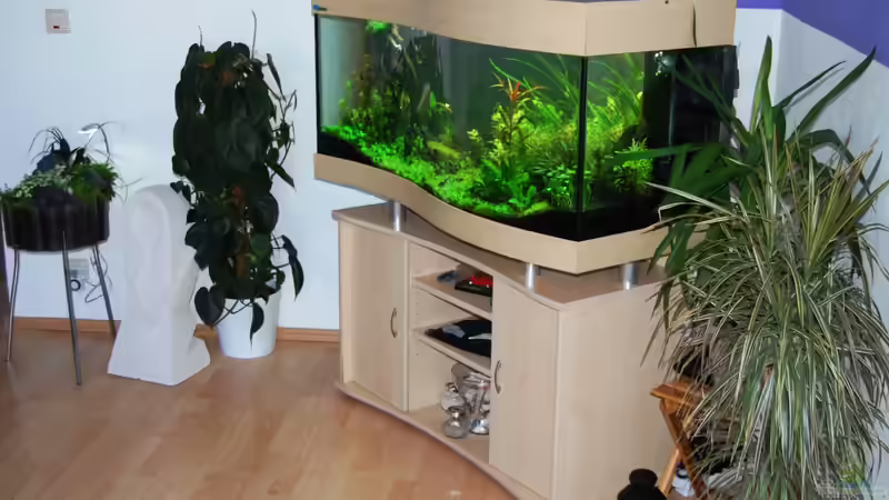 Aquarium The green culture von Michael Seraph (8)