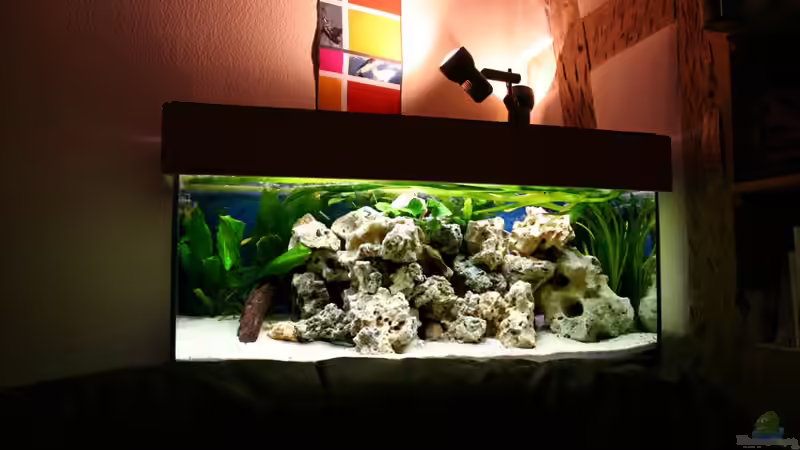 Aquarium The Wall von HeikoS (3)