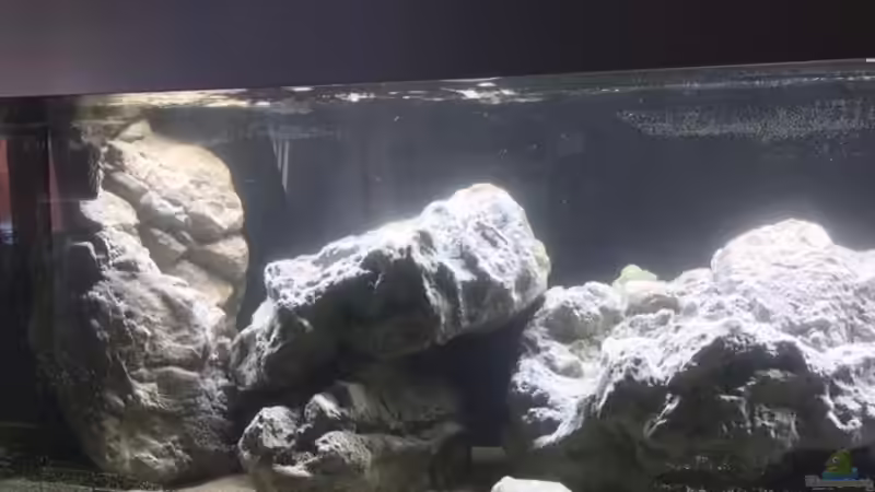 Aquarium Theatre of stones von Marius88 (4)