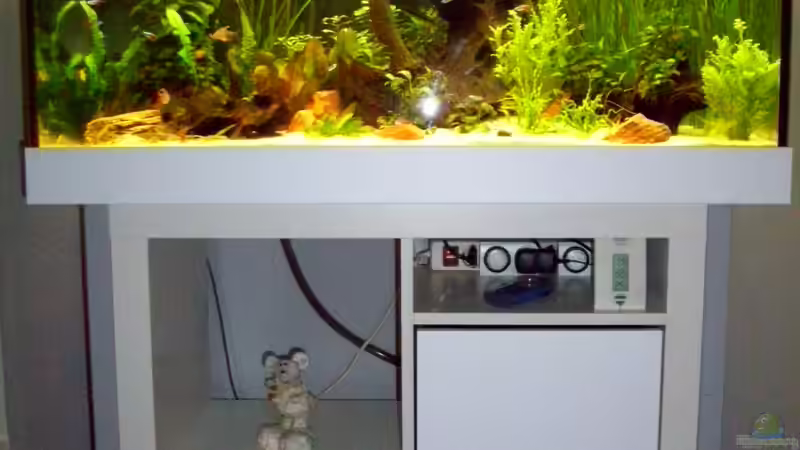 Aquarium Tierheim von kaktus-jones (2)