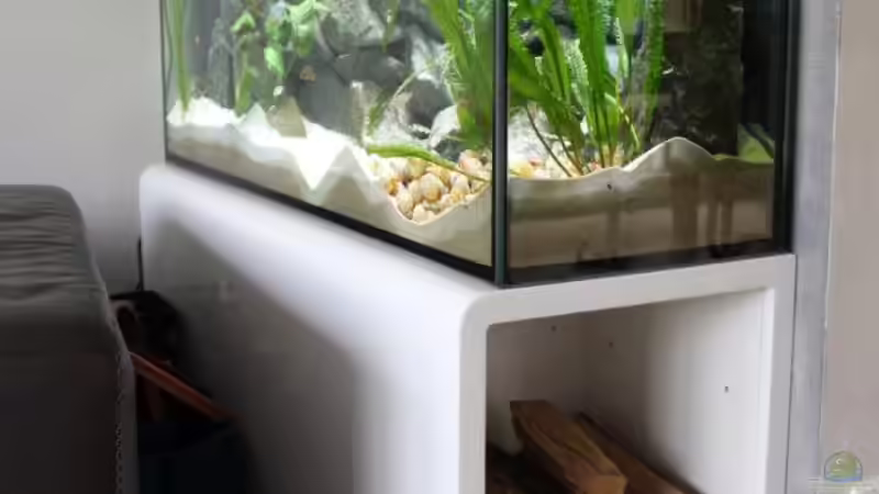 Aquarium Tomganjika von TomOP (3)