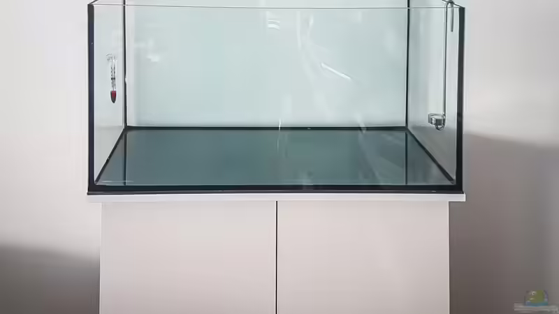 Aquarium Tommys&#039; Scape von TommyR (14)