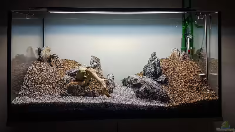 Aquarium Tommys&#039; Scape von TommyR (4)