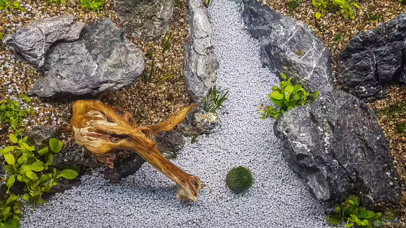 Aquarium Tommys&#039; Scape von TommyR (6)