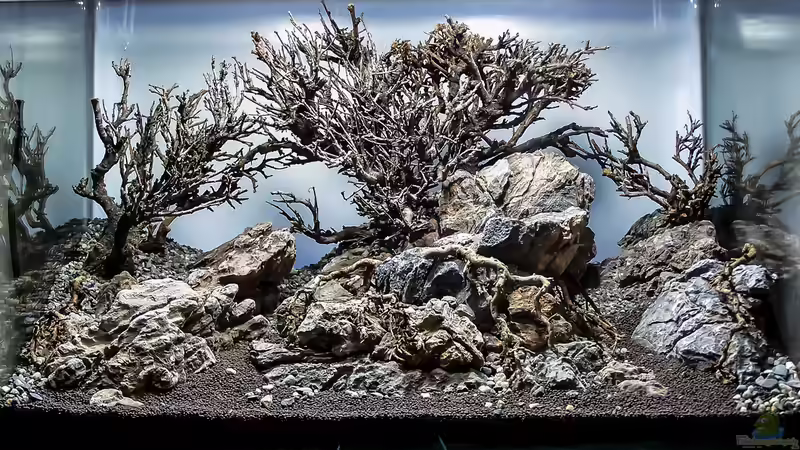 Aquarium Totoro von Fredo Fuss (2)