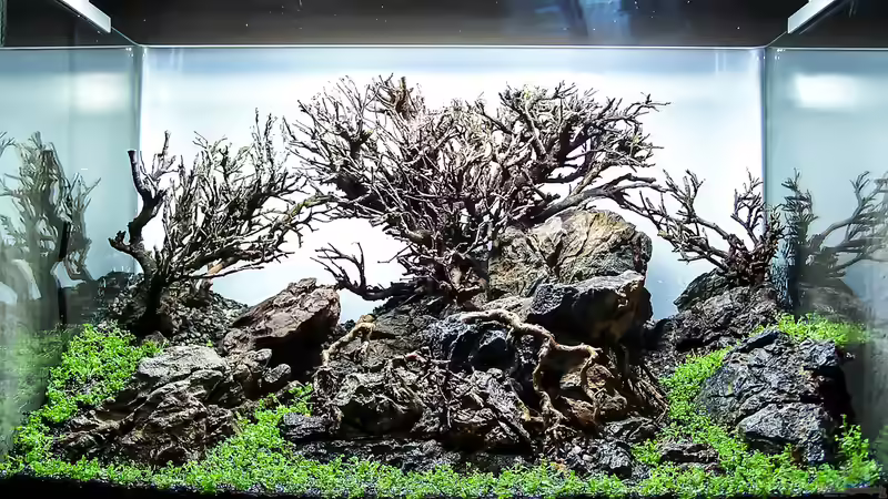 Aquarium Totoro von Fredo Fuss (3)