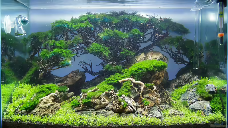 Aquarium Totoro von Fredo Fuss (4)