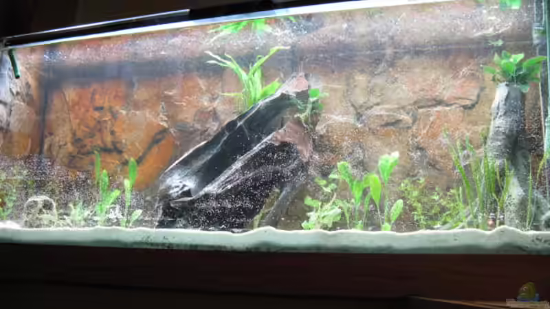 Aquarium Treppenhaus von Andrea (4)