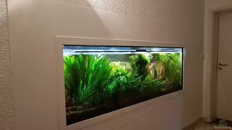 Aquarium Treppenhausseite von Klaus R (20)