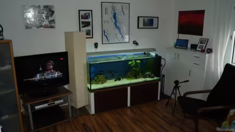 Aquarium Tropheus Becken 2011 von Robin H. (3)