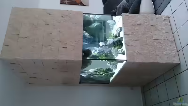 Aquarium Tropheus Pfütze (nur noch als Beispiel) von Warsteiner (2)