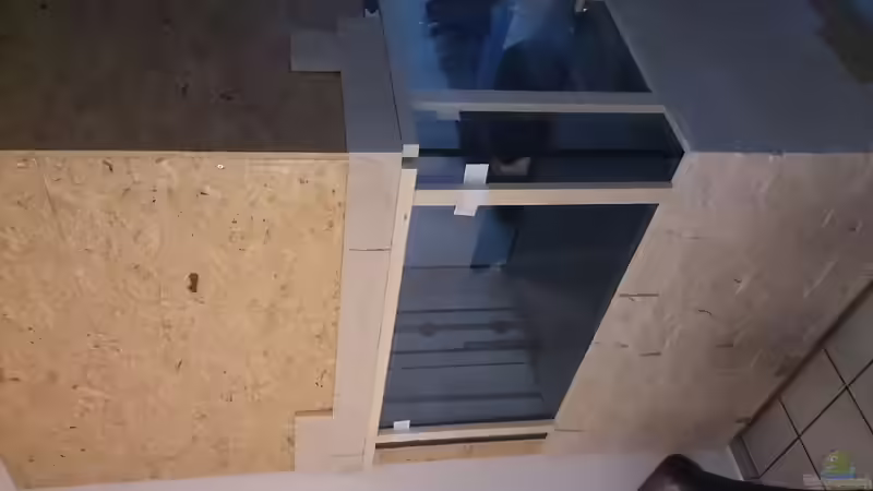 Aquarium Tropheus Pfütze (nur noch als Beispiel) von Warsteiner (3)