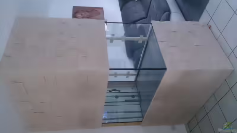 Aquarium Tropheus Pfütze (nur noch als Beispiel) von Warsteiner (4)