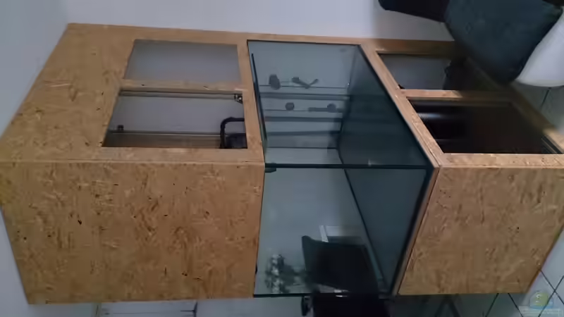 Aquarium Tropheus Pfütze (nur noch als Beispiel) von Warsteiner (5)