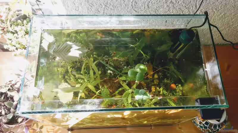 Aquarium Tümpel von Mike Steidl (3)