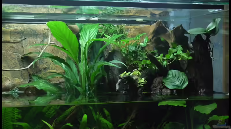 Aquarium Two Worlds Nur noch als Beispiel von DerImperator (11)