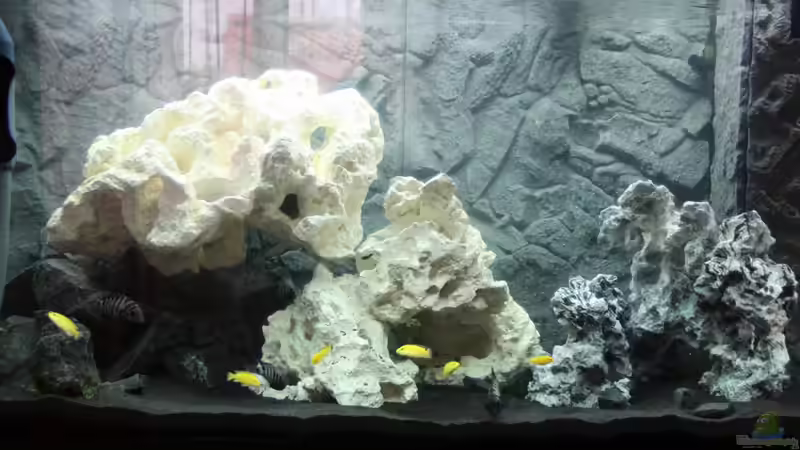 Aquarium undefined von Luke (2)