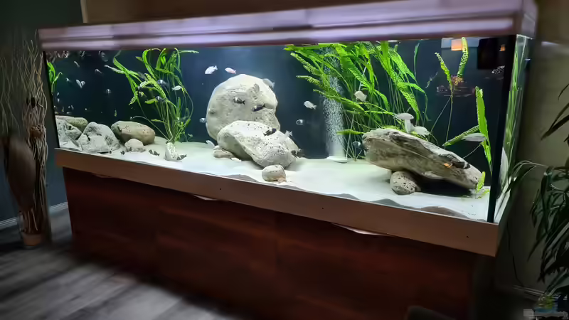 Aquarium Underwaterworld von Daim75 (2)