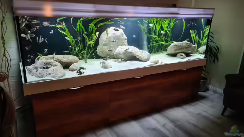 Aquarium Underwaterworld von Daim75 (3)