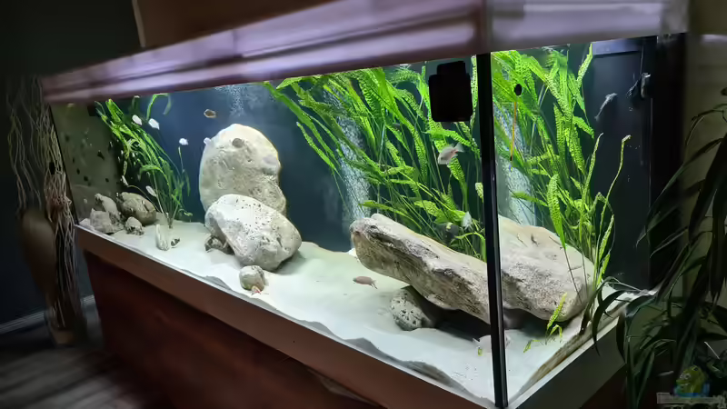 Aquarium Underwaterworld von Daim75 (4)