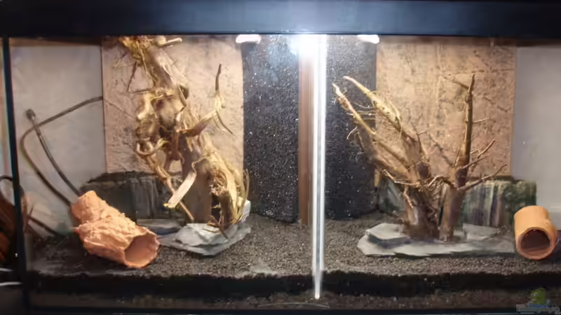 Aquarium Unser zweites Küchenfenster von Snoeddenmops (5)