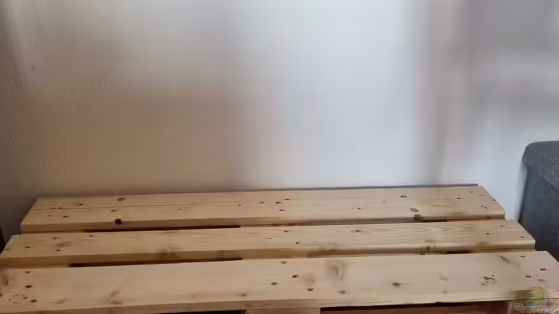 Aquarium Unterbau  Mit einer Europalette und eine Siebdruckplatte  somit steht  das Aquarium 16 cm höher von Peter Peter (79)