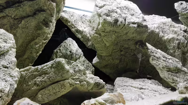 Aquarium Unterwasser-Höhle von Petr Novak (10)