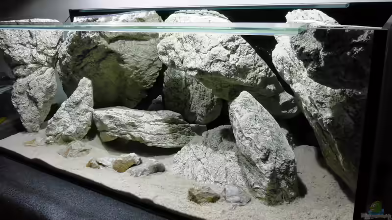 Aquarium Unterwasser-Höhle von Petr Novak (11)