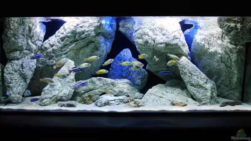 Aquarium Unterwasser-Höhle von Petr Novak (17)