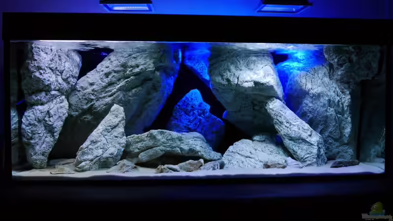 Aquarium Unterwasser-Höhle von Petr Novak (2)