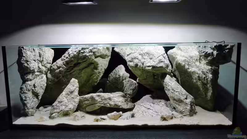 Aquarium Unterwasser-Höhle von Petr Novak (4)