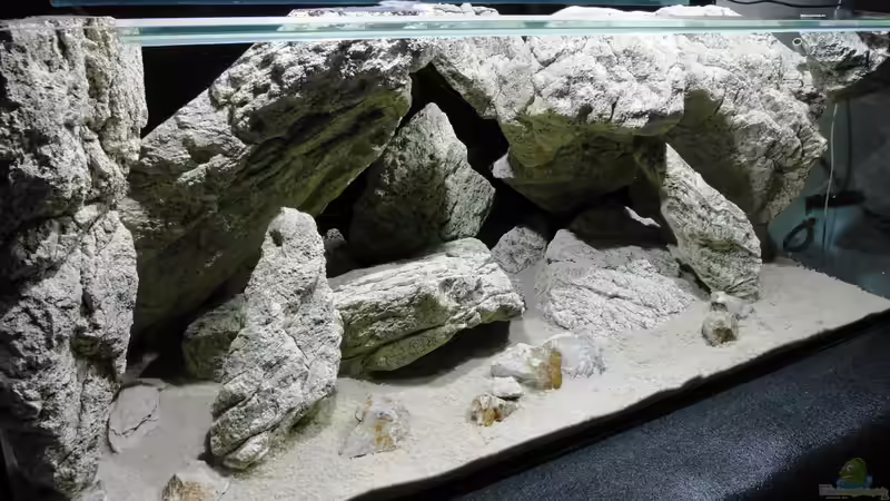 Aquarium Unterwasser-Höhle von Petr Novak (6)