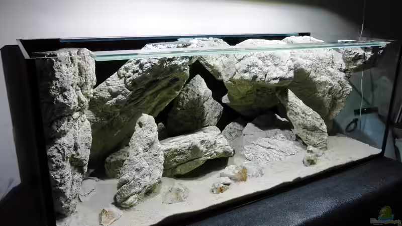 Aquarium Unterwasser-Höhle von Petr Novak (7)