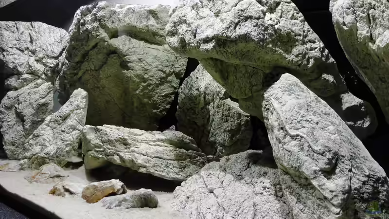 Aquarium Unterwasser-Höhle von Petr Novak (8)