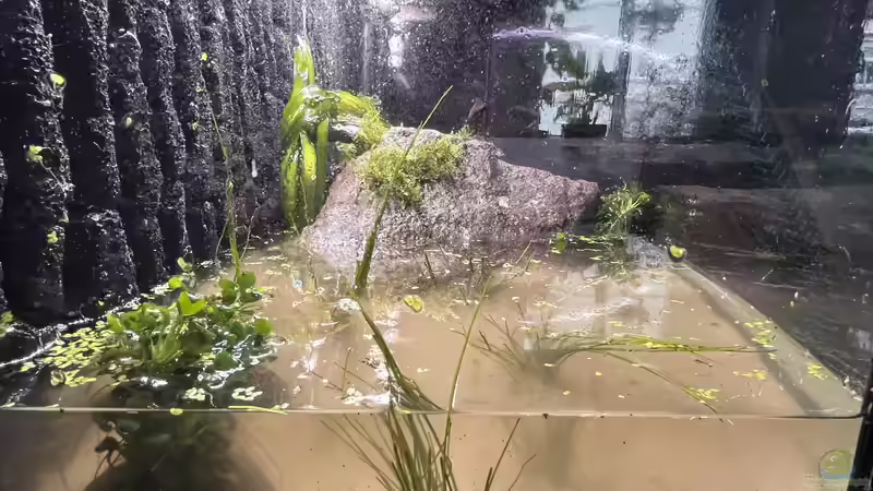 Aquarium Unterwasserinsel von BoelleRBL (5)