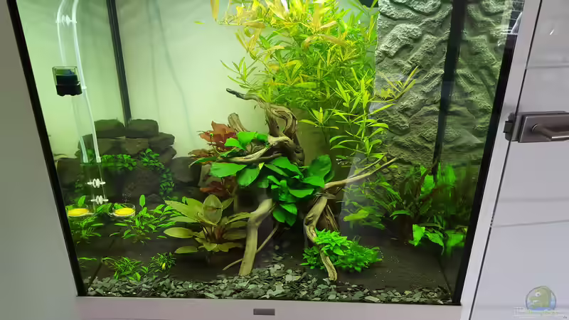 Aquarium Unterwasserwelt von Oliver Peters von Oliver Peters (1)