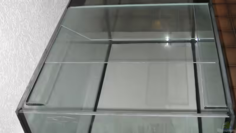 Aquarium Utaka von Delta (2)