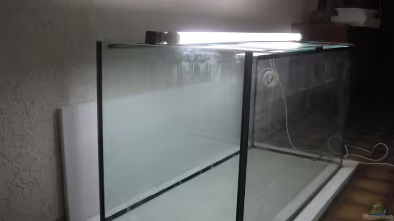 Aquarium Utaka von Delta (3)