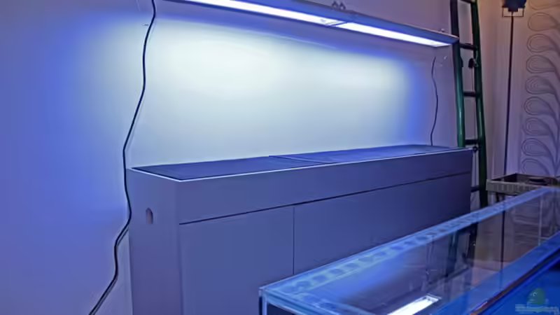 Aquarium Valley of Rainbows von Rick James (2)