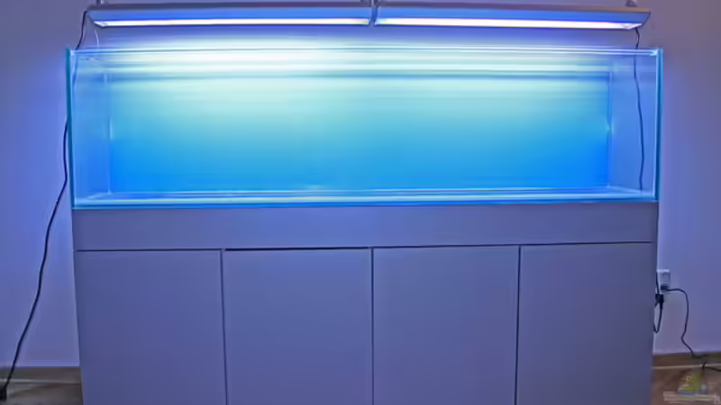 Aquarium Valley of Rainbows von Rick James (6)