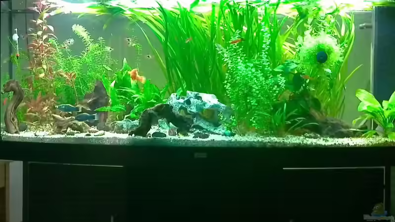 Aquarium Vision 450 von baw (6)