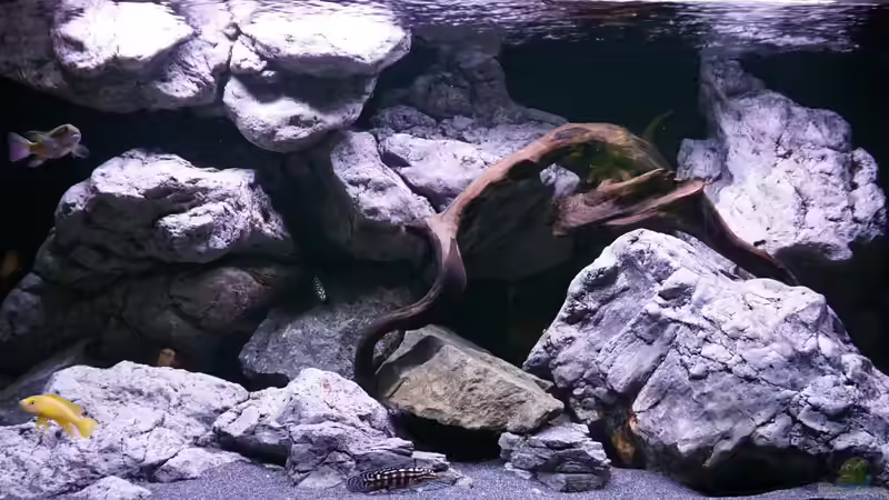 Aquarium Vivaline Rocks von Hero67 (2)