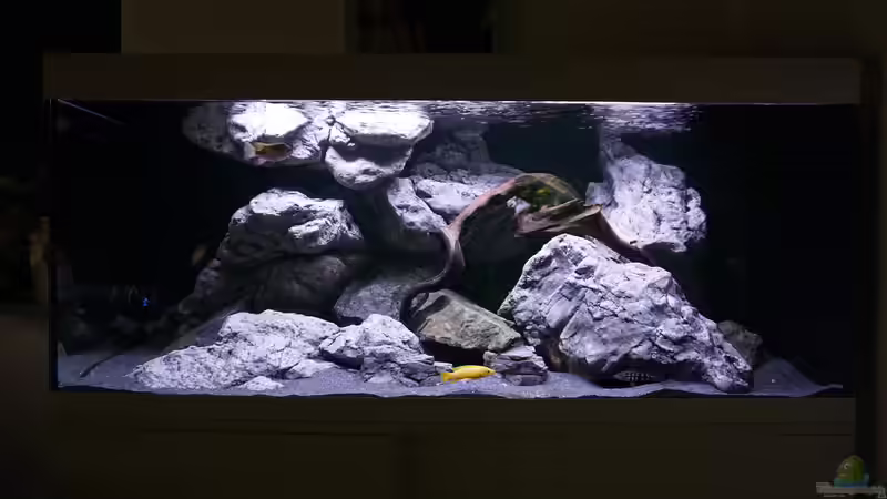 Aquarium Vivaline Rocks von Hero67 (3)