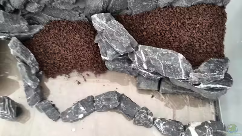 Aquarium Vom Dschungel zum Iwagumi von Vancouver2010 (10)