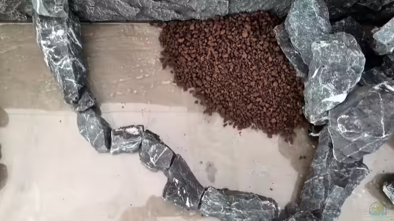 Aquarium Vom Dschungel zum Iwagumi von Vancouver2010 (11)