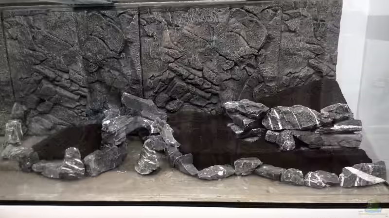 Aquarium Vom Dschungel zum Iwagumi von Vancouver2010 (13)