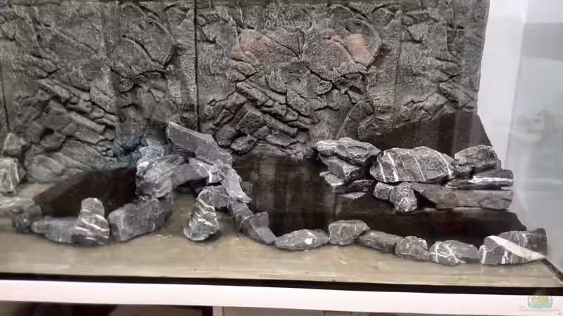 Aquarium Vom Dschungel zum Iwagumi von Vancouver2010 (14)