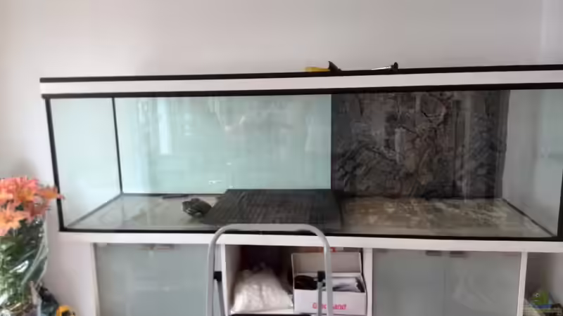 Aquarium Vom Dschungel zum Iwagumi von Vancouver2010 (2)