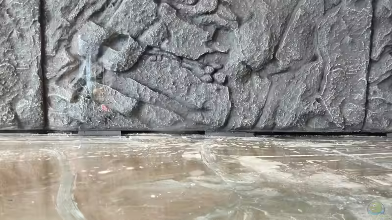 Aquarium Vom Dschungel zum Iwagumi von Vancouver2010 (3)